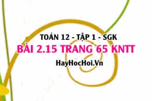 Bài 2.15 trang 65 Toán 12 tập 1 Kết nối tri thức